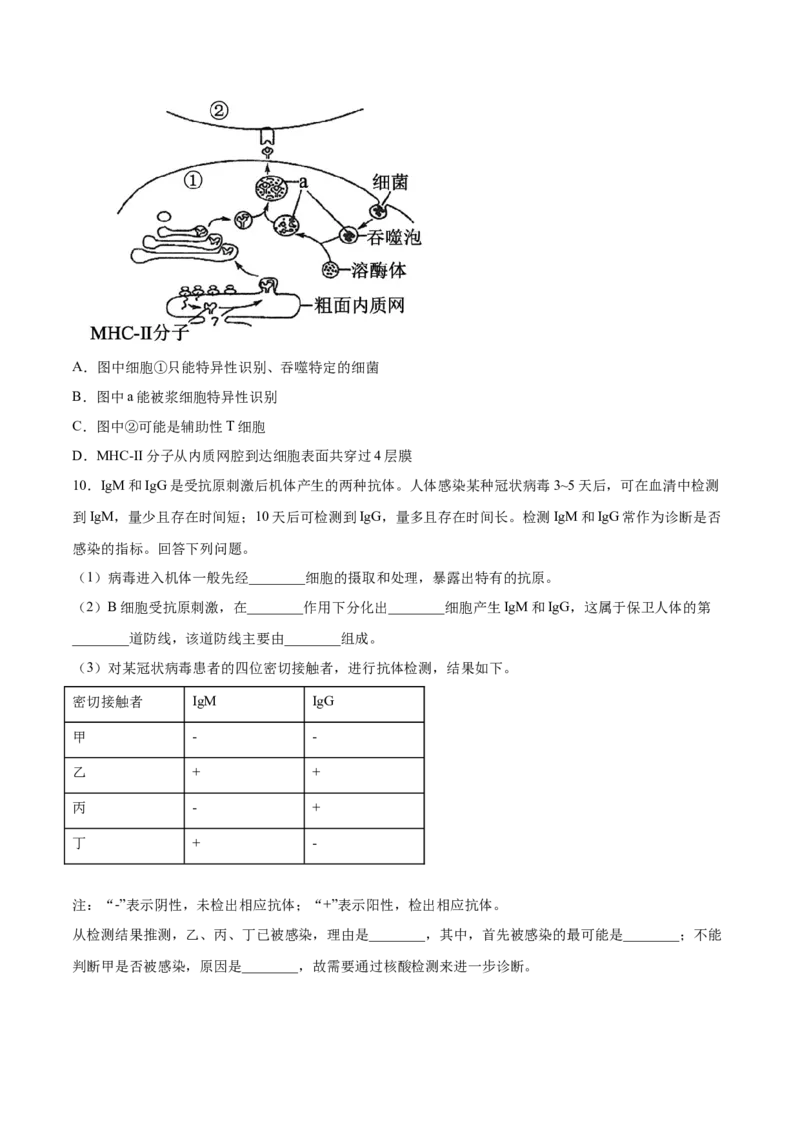 考向19免疫调节-备战2023年高考生物一轮复习考点微专题（全国通用）（原卷版）_通用版（老高考）复习资料_2023年复习资料_一轮复习_备战2023年高考生物一轮复习考点微专题（全国通用）