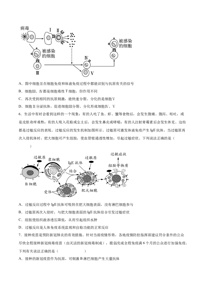 考向19免疫调节-备战2023年高考生物一轮复习考点微专题（全国通用）（原卷版）_通用版（老高考）复习资料_2023年复习资料_一轮复习_备战2023年高考生物一轮复习考点微专题（全国通用）