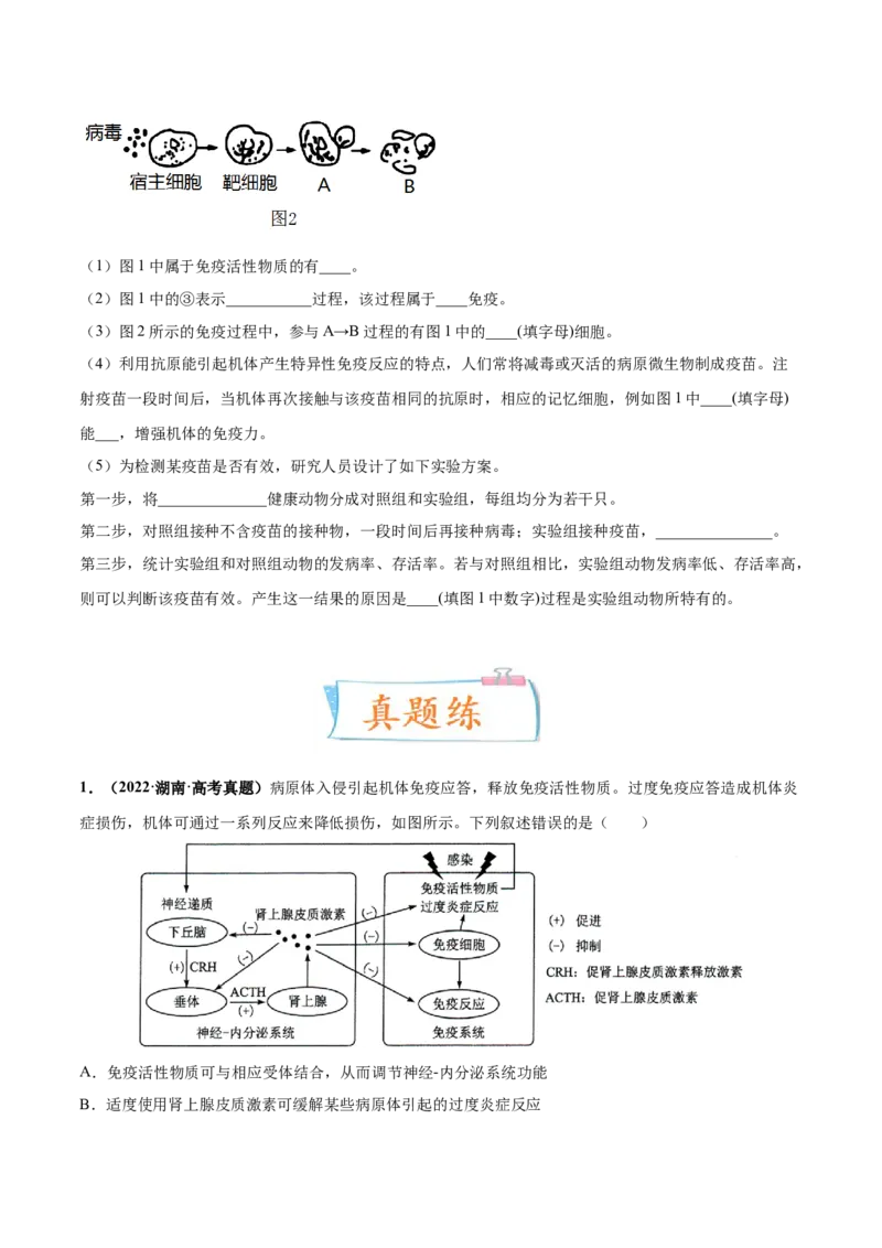 考向19免疫调节-备战2023年高考生物一轮复习考点微专题（全国通用）（原卷版）_通用版（老高考）复习资料_2023年复习资料_一轮复习_备战2023年高考生物一轮复习考点微专题（全国通用）