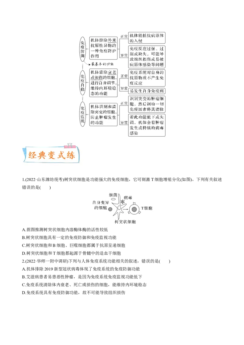 考向19免疫调节-备战2023年高考生物一轮复习考点微专题（全国通用）（原卷版）_通用版（老高考）复习资料_2023年复习资料_一轮复习_备战2023年高考生物一轮复习考点微专题（全国通用）