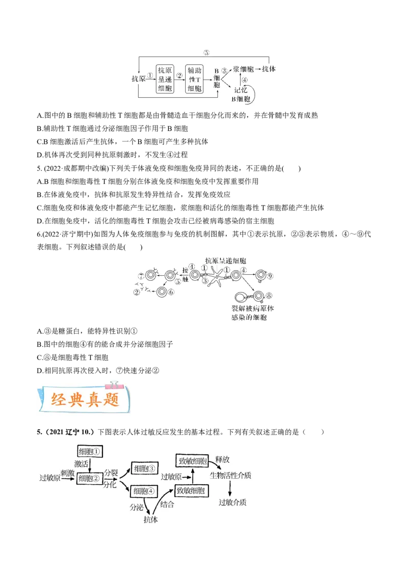 考向19免疫调节-备战2023年高考生物一轮复习考点微专题（全国通用）（原卷版）_通用版（老高考）复习资料_2023年复习资料_一轮复习_备战2023年高考生物一轮复习考点微专题（全国通用）