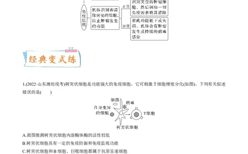 考向19免疫调节-备战2023年高考生物一轮复习考点微专题（全国通用）（原卷版）_通用版（老高考）复习资料_2023年复习资料_一轮复习_备战2023年高考生物一轮复习考点微专题（全国通用）