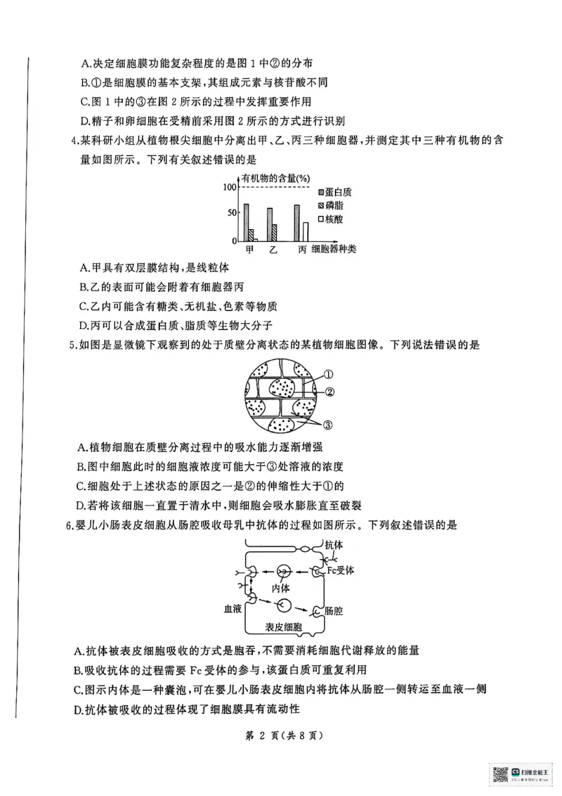 扫描全能王2026-01-2008.21(1)_2026年01月高一试卷_260128山东省济南市名校联考2025-2026学年高一上学期1月月考（全）_山东省济南市名校联考2025-2026学年高一上学期1月月考生物试题