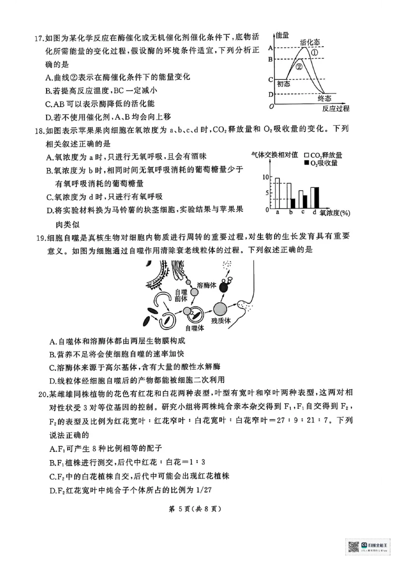 扫描全能王2026-01-2008.21(1)_2026年01月高一试卷_260128山东省济南市名校联考2025-2026学年高一上学期1月月考（全）_山东省济南市名校联考2025-2026学年高一上学期1月月考生物试题