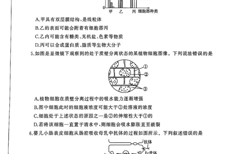 扫描全能王2026-01-2008.21(1)_2026年01月高一试卷_260128山东省济南市名校联考2025-2026学年高一上学期1月月考（全）_山东省济南市名校联考2025-2026学年高一上学期1月月考生物试题