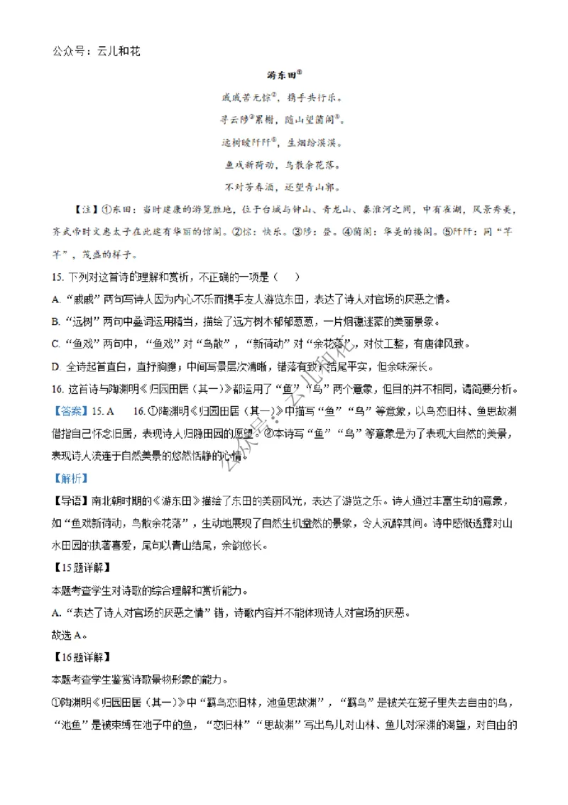 河北省沧州市四县联考2024-2025学年高一上学期11月月考语文试题Word版含解析_2024年12月试卷_1227河北省沧州四县联考2024-2025学年高一上学期11月月考