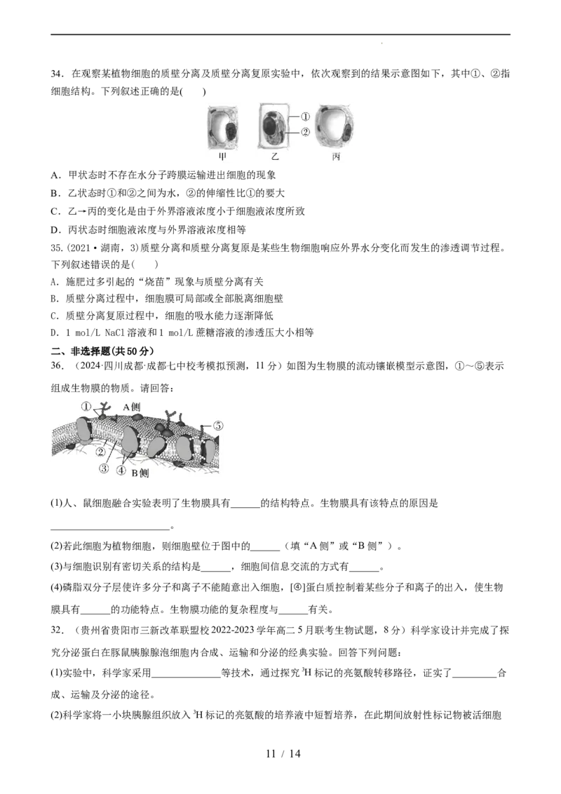 第二单元细胞的结构、功能和物质运输（测试）（原卷版）_新高考复习资料_2024年新高考复习资料_一轮复习资料_完2024年高考生物一轮复习讲练测(课件+讲义+练习)（新高考）_单元测试
