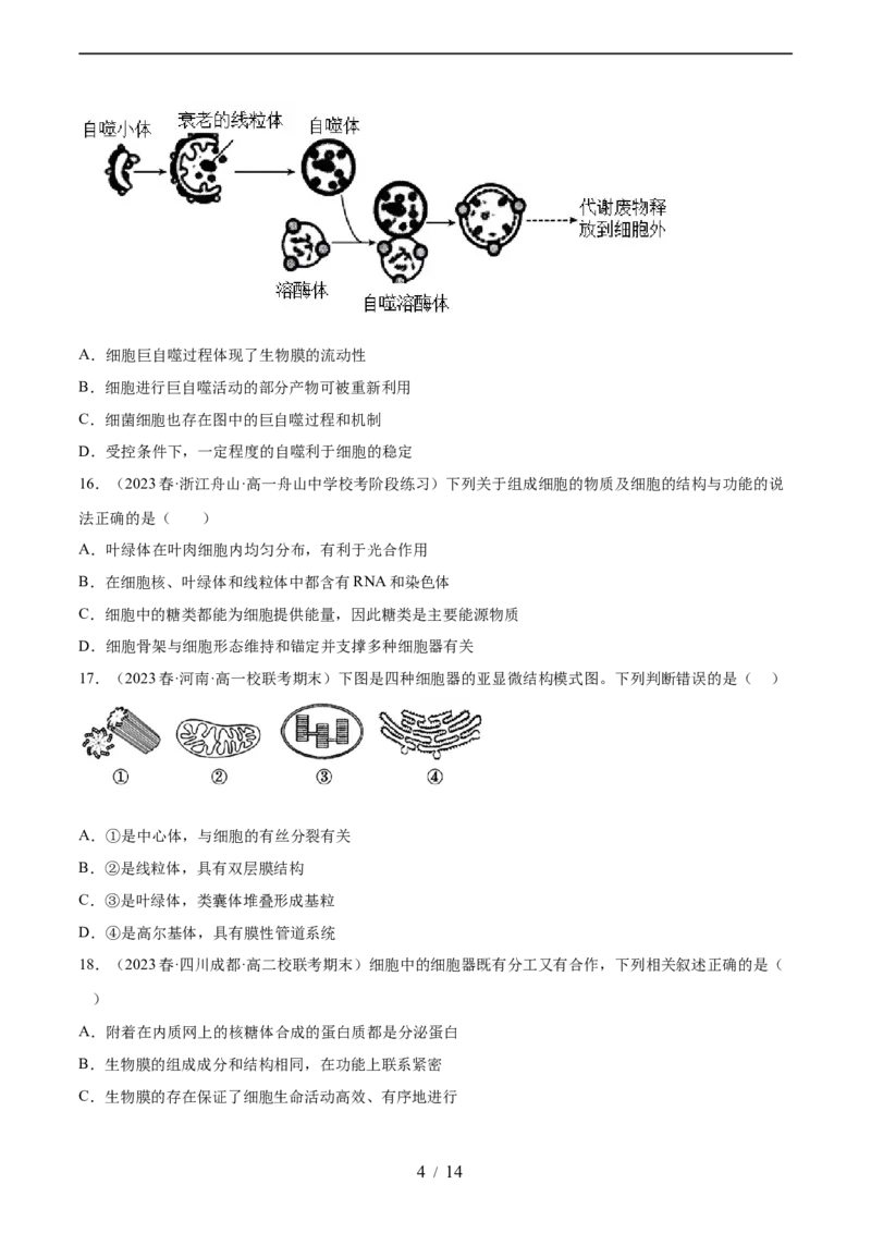 第二单元细胞的结构、功能和物质运输（测试）（原卷版）_新高考复习资料_2024年新高考复习资料_一轮复习资料_完2024年高考生物一轮复习讲练测(课件+讲义+练习)（新高考）_单元测试