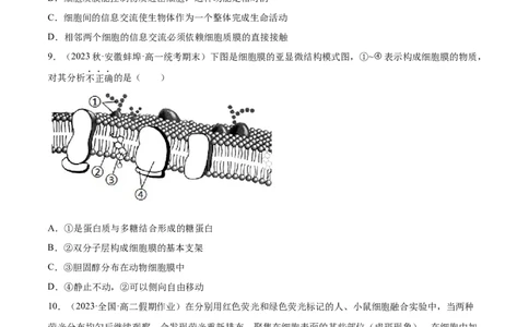 第二单元细胞的结构、功能和物质运输（测试）（原卷版）_新高考复习资料_2024年新高考复习资料_一轮复习资料_完2024年高考生物一轮复习讲练测(课件+讲义+练习)（新高考）_单元测试