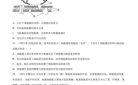 第二单元细胞的结构、功能和物质运输（测试）（原卷版）_新高考复习资料_2024年新高考复习资料_一轮复习资料_完2024年高考生物一轮复习讲练测(课件+讲义+练习)（新高考）_单元测试