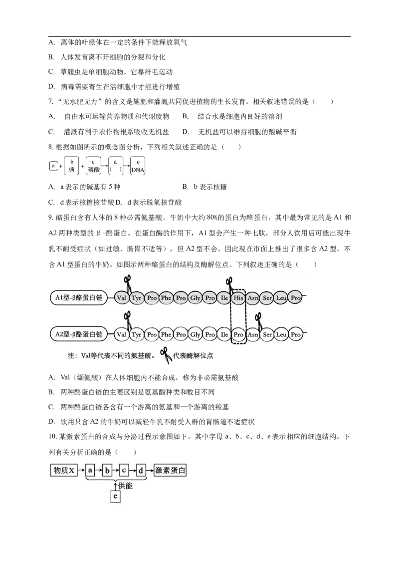 白城实验高中2025-2026学年度高一上学期第一次月考生物试卷_2025年10月高一试卷_251025吉林省白城市实验高级中学2025-2026学年高一上学期10月月考