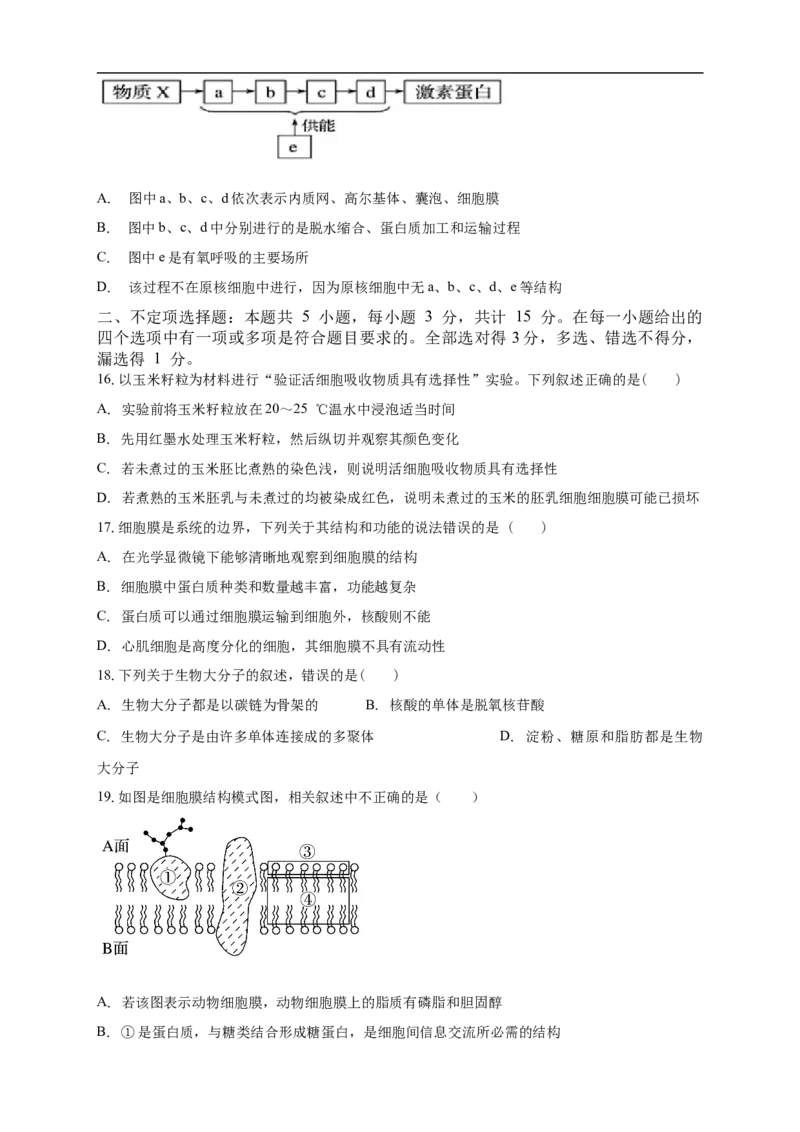 白城实验高中2025-2026学年度高一上学期第一次月考生物试卷_2025年10月高一试卷_251025吉林省白城市实验高级中学2025-2026学年高一上学期10月月考