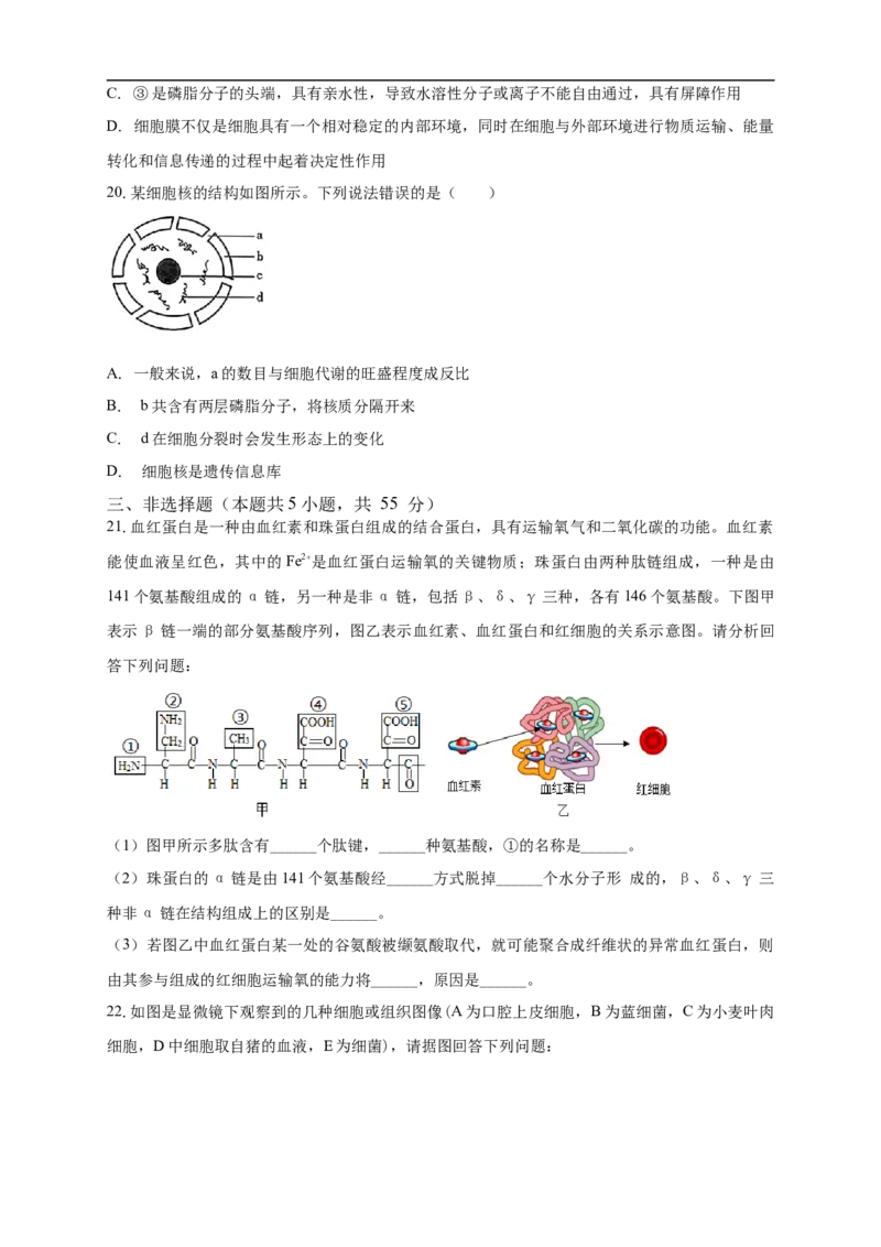 白城实验高中2025-2026学年度高一上学期第一次月考生物试卷_2025年10月高一试卷_251025吉林省白城市实验高级中学2025-2026学年高一上学期10月月考