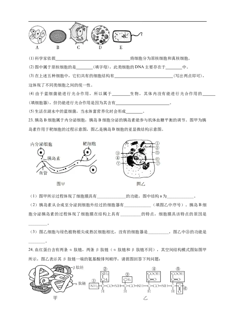 白城实验高中2025-2026学年度高一上学期第一次月考生物试卷_2025年10月高一试卷_251025吉林省白城市实验高级中学2025-2026学年高一上学期10月月考