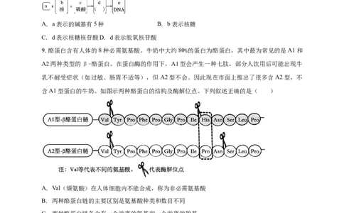 白城实验高中2025-2026学年度高一上学期第一次月考生物试卷_2025年10月高一试卷_251025吉林省白城市实验高级中学2025-2026学年高一上学期10月月考