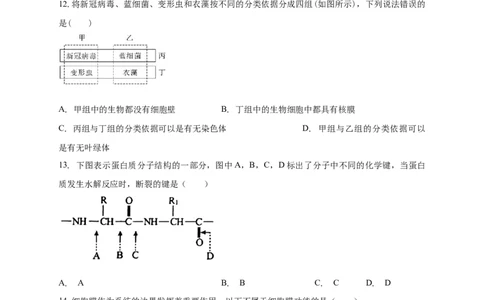 白城实验高中2025-2026学年度高一上学期第一次月考生物试卷_2025年10月高一试卷_251025吉林省白城市实验高级中学2025-2026学年高一上学期10月月考