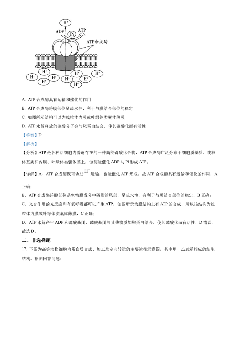 广东省茂名市七校联考2024-2025学年高一下学期2月月考生物试题Word版含解析_2025年03月试卷_0313广东省茂名市七校联盟2024-2025学年高一下学期2月开学联考试题