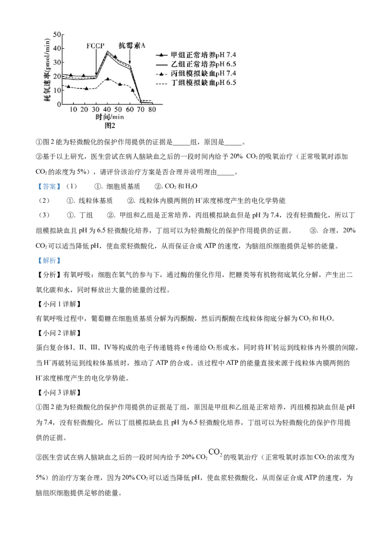 广东省茂名市七校联考2024-2025学年高一下学期2月月考生物试题Word版含解析_2025年03月试卷_0313广东省茂名市七校联盟2024-2025学年高一下学期2月开学联考试题