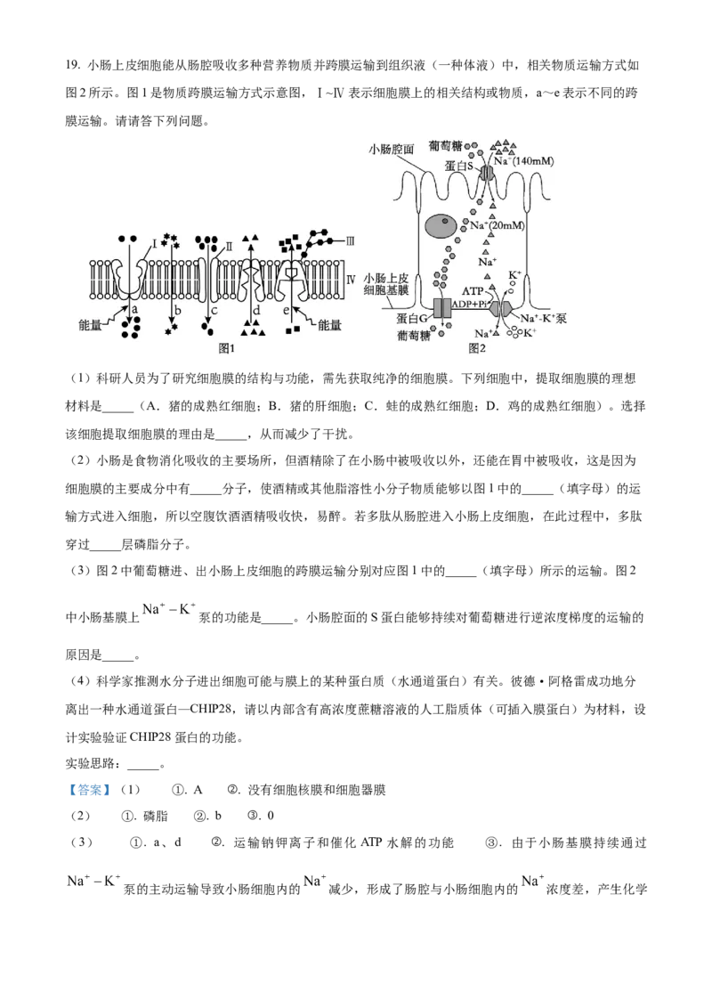 广东省茂名市七校联考2024-2025学年高一下学期2月月考生物试题Word版含解析_2025年03月试卷_0313广东省茂名市七校联盟2024-2025学年高一下学期2月开学联考试题
