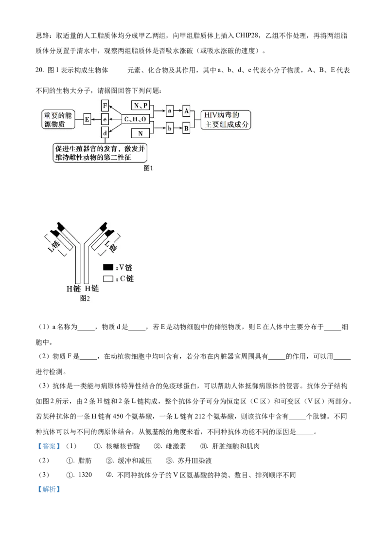 广东省茂名市七校联考2024-2025学年高一下学期2月月考生物试题Word版含解析_2025年03月试卷_0313广东省茂名市七校联盟2024-2025学年高一下学期2月开学联考试题