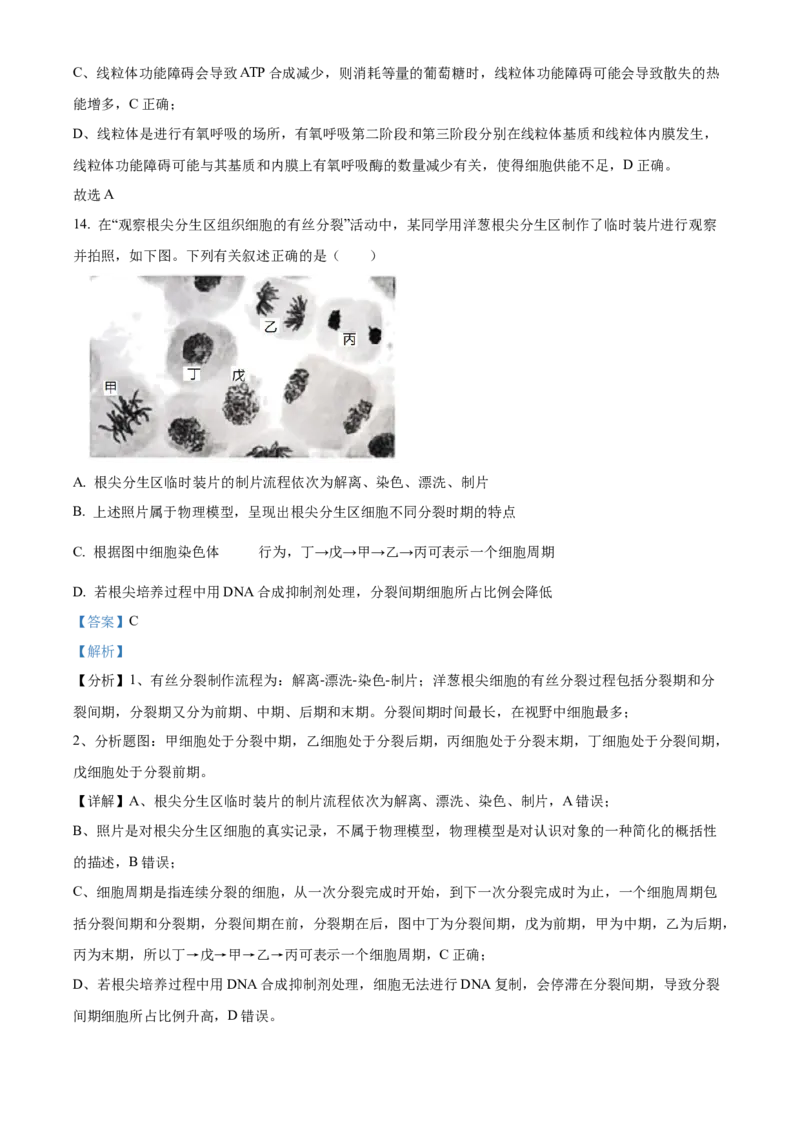 山西省晋中市2024-2025学年高一上学期期末调研测试生物试卷Word版含解析_2025年03月试卷_0315山西省晋中市2024-2025学年高一上学期期末考试