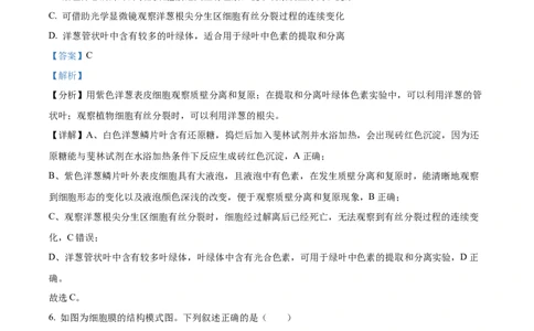 山西省晋中市2024-2025学年高一上学期期末调研测试生物试卷Word版含解析_2025年03月试卷_0315山西省晋中市2024-2025学年高一上学期期末考试