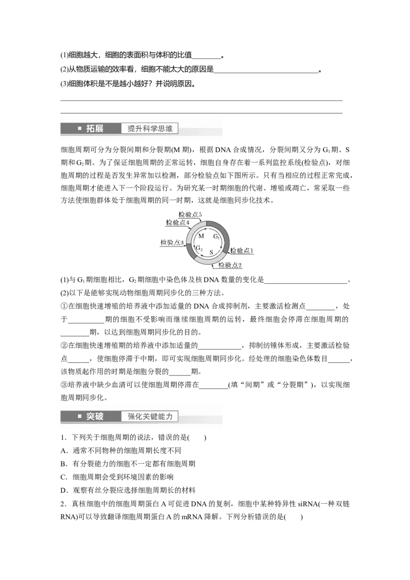 第4单元　第1课时　细胞的增殖_新高考复习资料_2024年新高考复习资料_一轮复习资料_完2024生物步步高大一轮复习（课件+讲义）_2024年高考生物一轮复习讲义（新人教版）