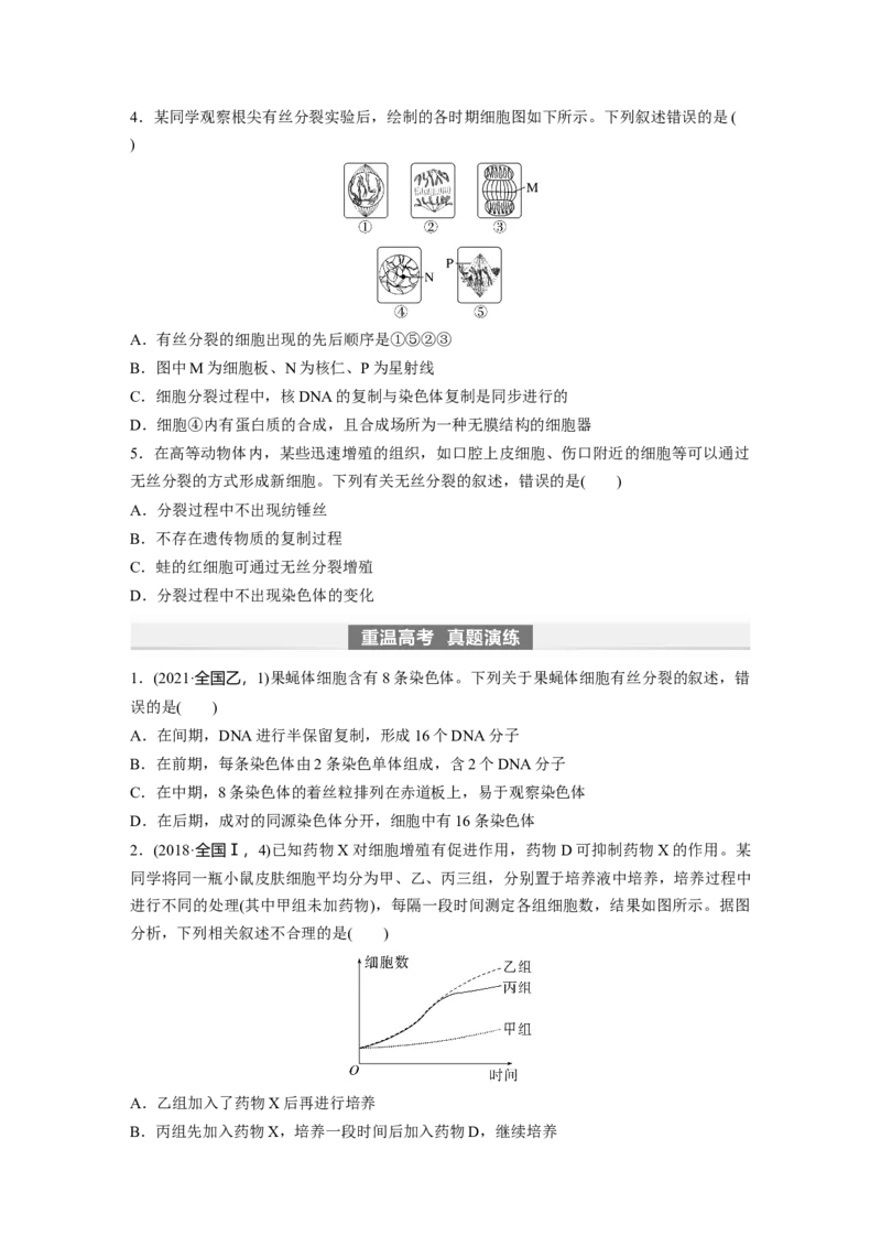 第4单元　第1课时　细胞的增殖_新高考复习资料_2024年新高考复习资料_一轮复习资料_完2024生物步步高大一轮复习（课件+讲义）_2024年高考生物一轮复习讲义（新人教版）