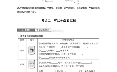 第4单元　第1课时　细胞的增殖_新高考复习资料_2024年新高考复习资料_一轮复习资料_完2024生物步步高大一轮复习（课件+讲义）_2024年高考生物一轮复习讲义（新人教版）