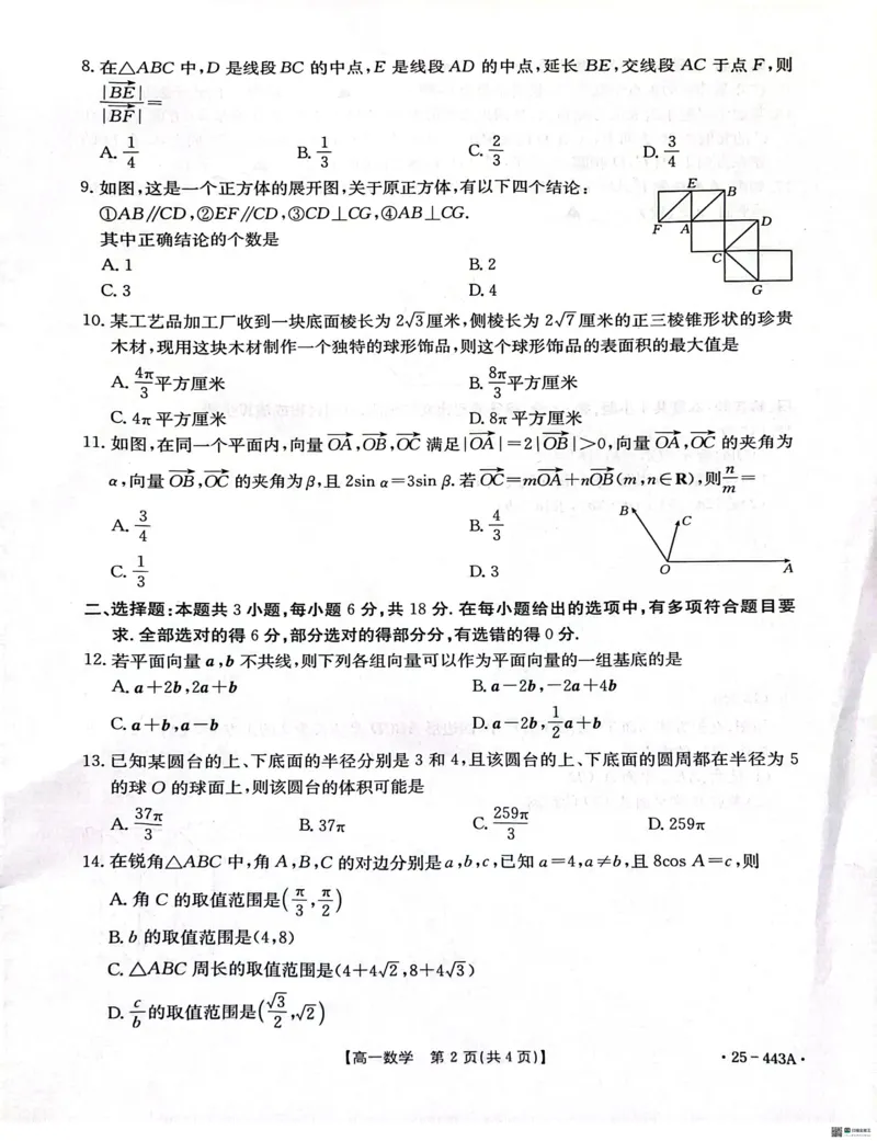 河北省邢台市2024-2025学年高一下学期质检联盟期中考试数学试题_2025年05月试卷_0525河北省邢台市质检联盟2024-2025学年高一下学期期中考试