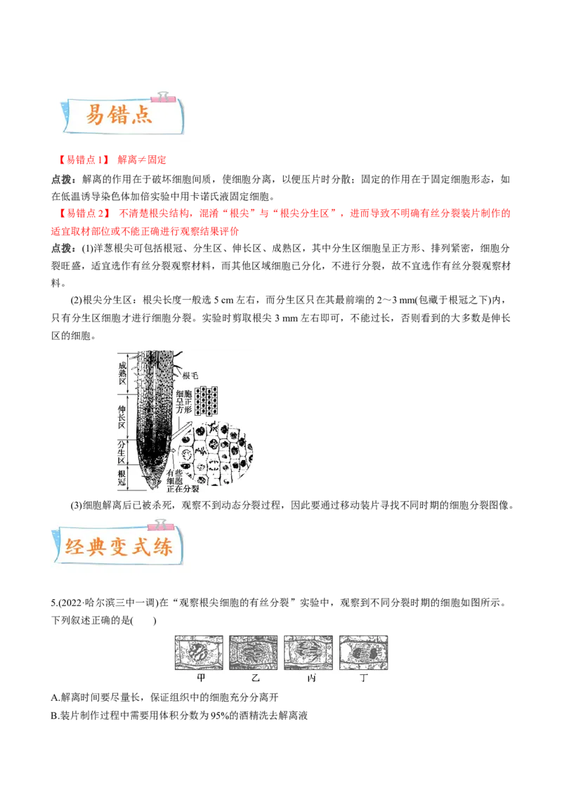 考向07细胞的生命历程-备战2023年高考生物一轮复习考点微专题（全国通用）（原卷版）(1)_通用版（老高考）复习资料_2023年复习资料_一轮复习