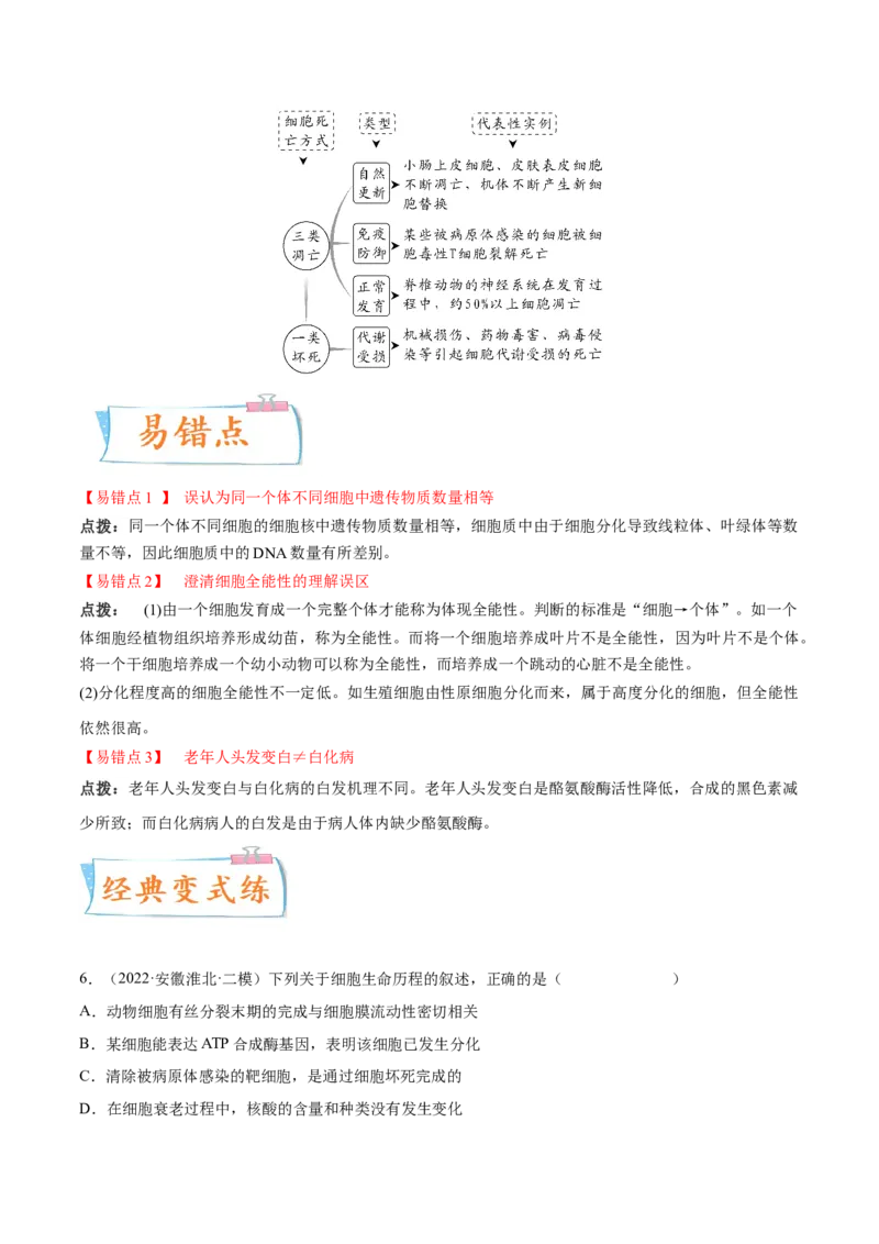 考向07细胞的生命历程-备战2023年高考生物一轮复习考点微专题（全国通用）（原卷版）(1)_通用版（老高考）复习资料_2023年复习资料_一轮复习