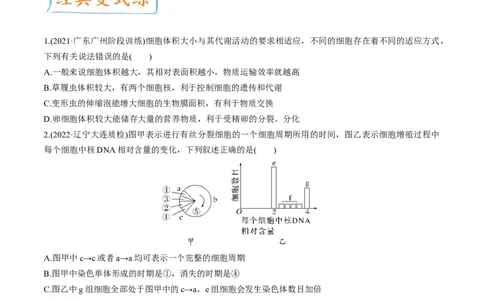 考向07细胞的生命历程-备战2023年高考生物一轮复习考点微专题（全国通用）（原卷版）(1)_通用版（老高考）复习资料_2023年复习资料_一轮复习