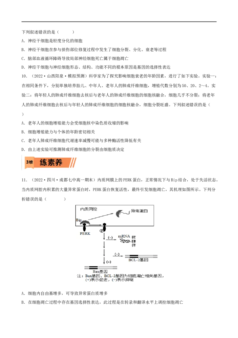第12练细胞的分化、衰老和死亡（原卷版）_新高考复习资料_2023年新高考复习资料_一轮复习_2023年高考生物一轮复习小题多维练（新高考专用）