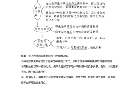 第28讲　群落及其演替_新高考复习资料_2023年新高考复习资料_一轮复习_2023年新高考大一轮复习讲义_2023年高考生物一轮复习讲义（新人教新高考）_赠补充习题_第九单元生物与环境