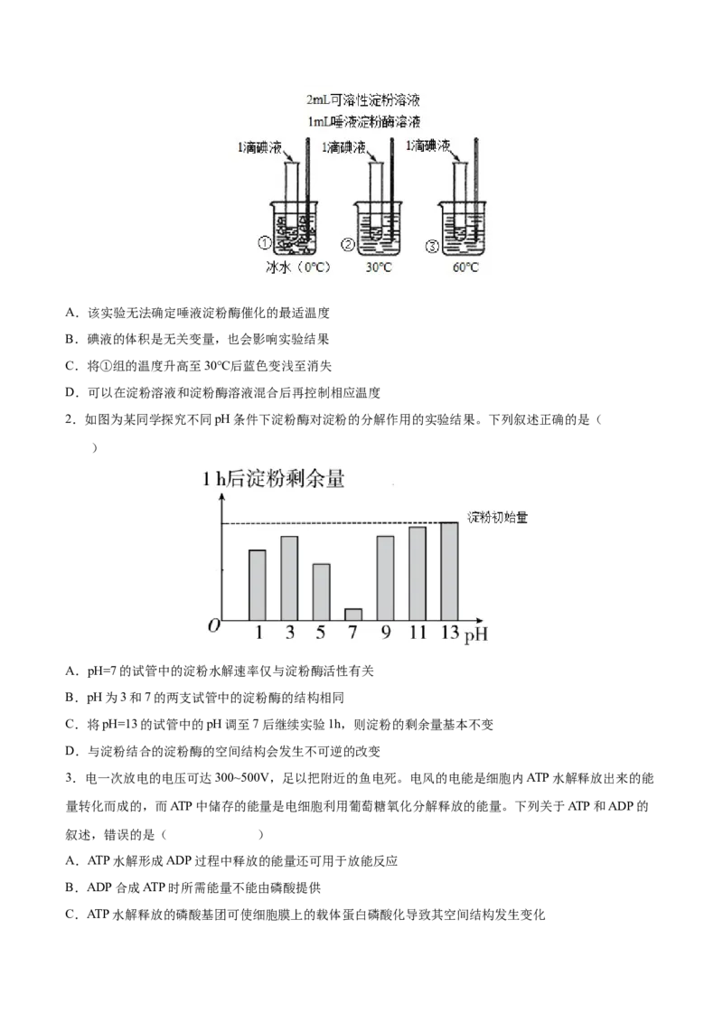 考向04ATP和酶-备战2023年高考生物一轮复习考点微专题（全国通用）（原卷版）_通用版（老高考）复习资料_2023年复习资料_一轮复习_备战2023年高考生物一轮复习考点微专题（全国通用）