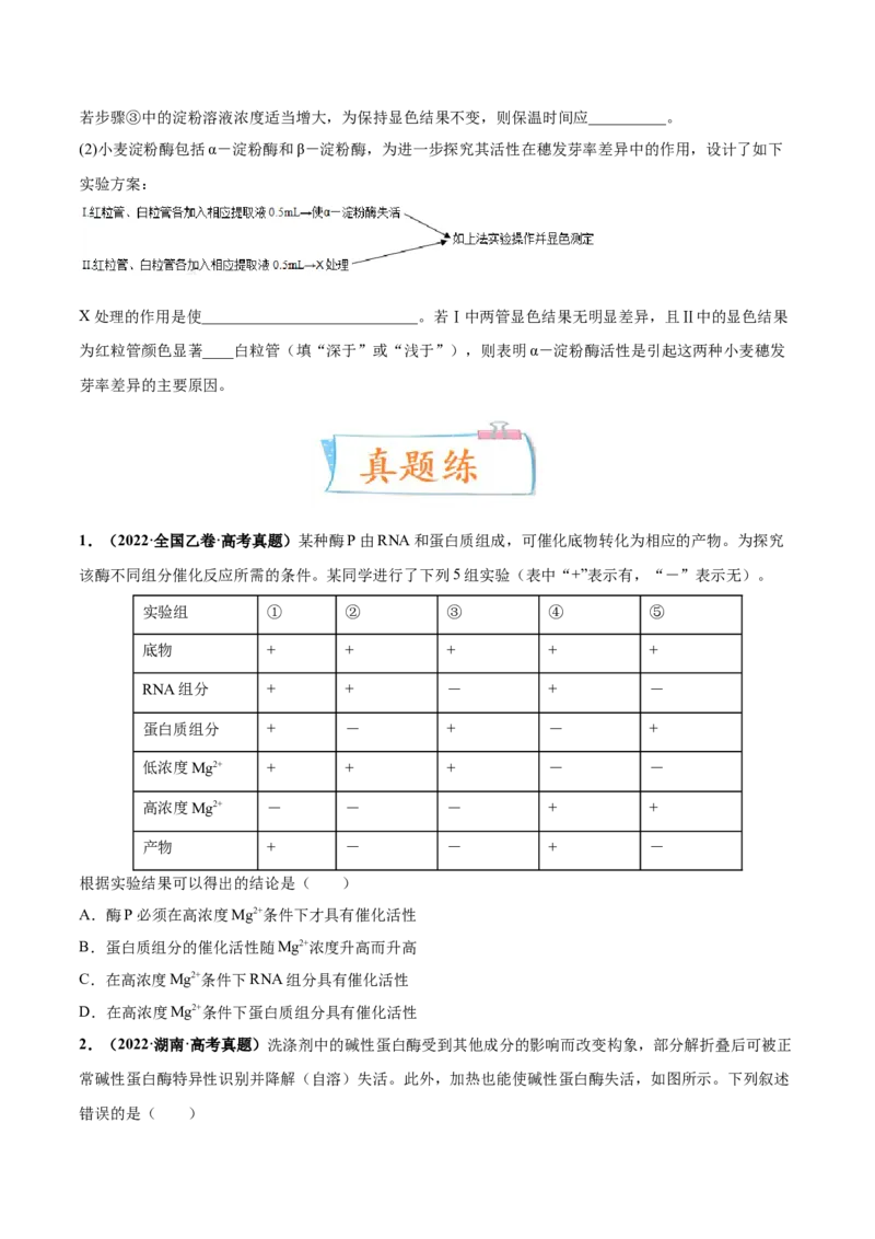 考向04ATP和酶-备战2023年高考生物一轮复习考点微专题（全国通用）（原卷版）_通用版（老高考）复习资料_2023年复习资料_一轮复习_备战2023年高考生物一轮复习考点微专题（全国通用）