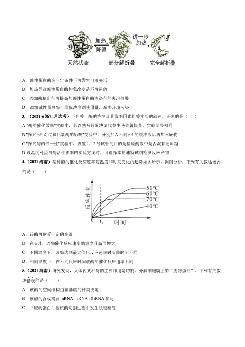 考向04ATP和酶-备战2023年高考生物一轮复习考点微专题（全国通用）（原卷版）_通用版（老高考）复习资料_2023年复习资料_一轮复习_备战2023年高考生物一轮复习考点微专题（全国通用）