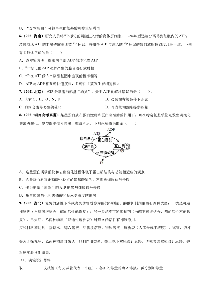 考向04ATP和酶-备战2023年高考生物一轮复习考点微专题（全国通用）（原卷版）_通用版（老高考）复习资料_2023年复习资料_一轮复习_备战2023年高考生物一轮复习考点微专题（全国通用）