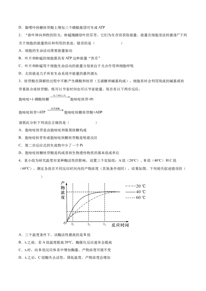 考向04ATP和酶-备战2023年高考生物一轮复习考点微专题（全国通用）（原卷版）_通用版（老高考）复习资料_2023年复习资料_一轮复习_备战2023年高考生物一轮复习考点微专题（全国通用）