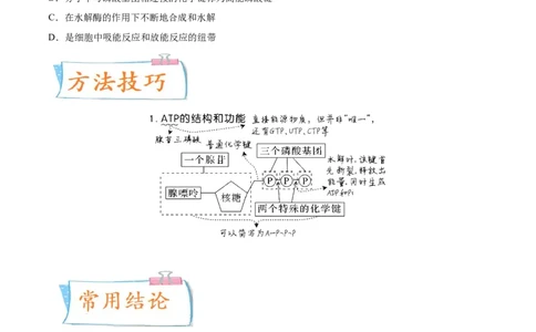 考向04ATP和酶-备战2023年高考生物一轮复习考点微专题（全国通用）（原卷版）_通用版（老高考）复习资料_2023年复习资料_一轮复习_备战2023年高考生物一轮复习考点微专题（全国通用）