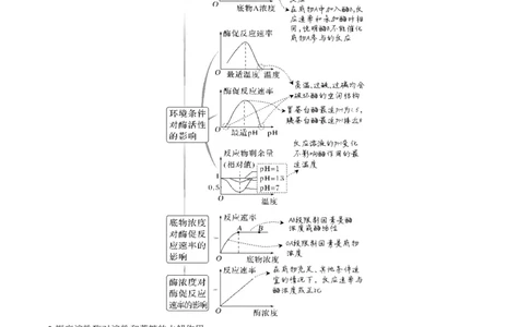 考向04ATP和酶-备战2023年高考生物一轮复习考点微专题（全国通用）（原卷版）_通用版（老高考）复习资料_2023年复习资料_一轮复习_备战2023年高考生物一轮复习考点微专题（全国通用）