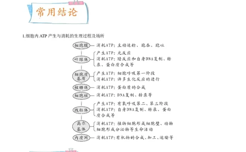 考向04ATP和酶-备战2023年高考生物一轮复习考点微专题（全国通用）（解析版）_通用版（老高考）复习资料_2023年复习资料_一轮复习_备战2023年高考生物一轮复习考点微专题（全国通用）