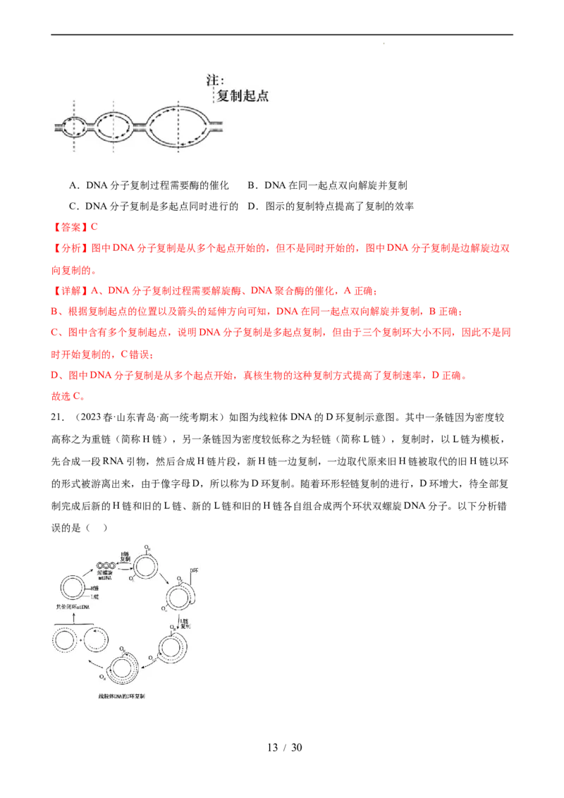 第六单元遗传的物质基础（测试）（解析版）_新高考复习资料_2024年新高考复习资料_一轮复习资料_完2024年高考生物一轮复习讲练测(课件+讲义+练习)（新高考）_单元测试