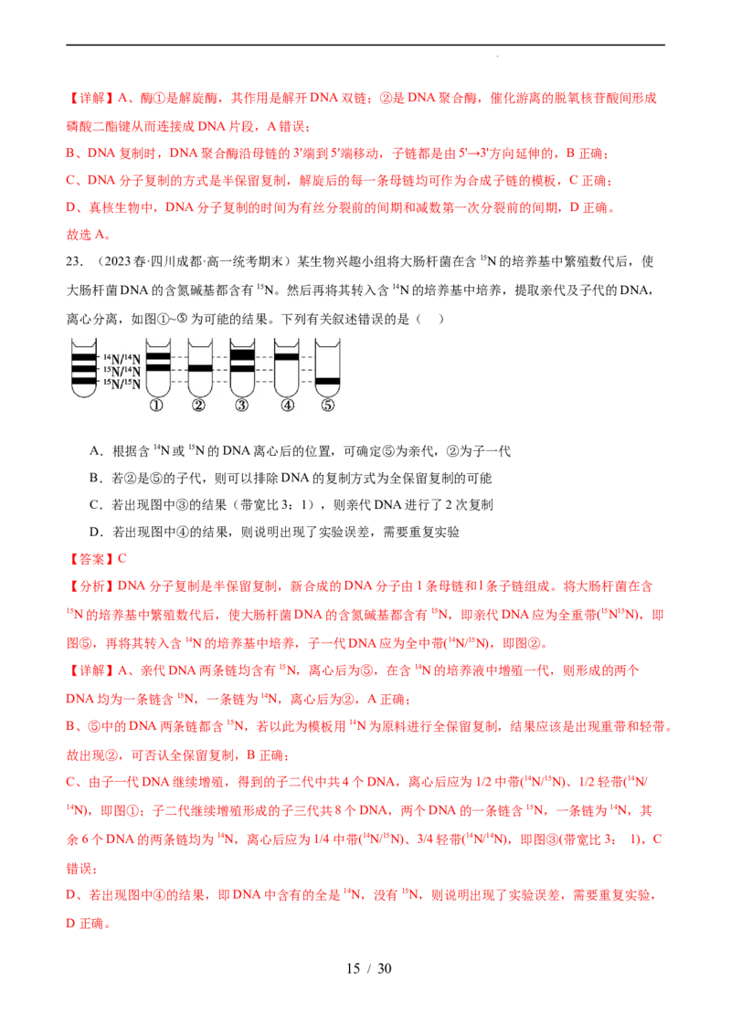 第六单元遗传的物质基础（测试）（解析版）_新高考复习资料_2024年新高考复习资料_一轮复习资料_完2024年高考生物一轮复习讲练测(课件+讲义+练习)（新高考）_单元测试