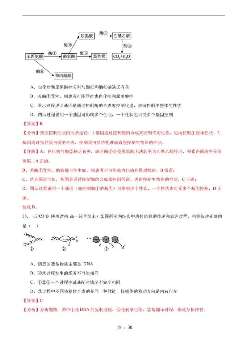 第六单元遗传的物质基础（测试）（解析版）_新高考复习资料_2024年新高考复习资料_一轮复习资料_完2024年高考生物一轮复习讲练测(课件+讲义+练习)（新高考）_单元测试