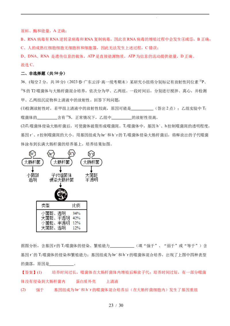 第六单元遗传的物质基础（测试）（解析版）_新高考复习资料_2024年新高考复习资料_一轮复习资料_完2024年高考生物一轮复习讲练测(课件+讲义+练习)（新高考）_单元测试