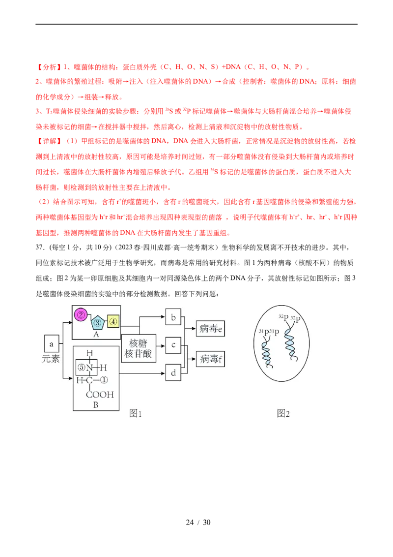 第六单元遗传的物质基础（测试）（解析版）_新高考复习资料_2024年新高考复习资料_一轮复习资料_完2024年高考生物一轮复习讲练测(课件+讲义+练习)（新高考）_单元测试