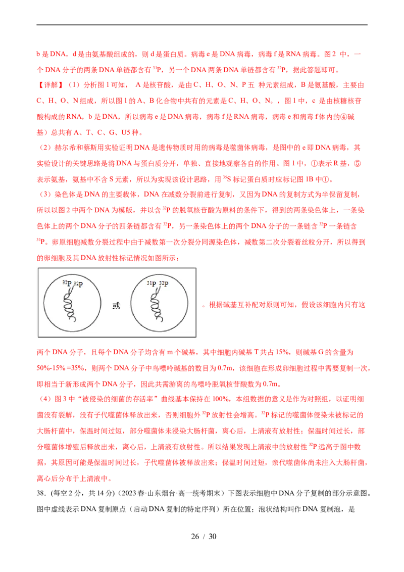 第六单元遗传的物质基础（测试）（解析版）_新高考复习资料_2024年新高考复习资料_一轮复习资料_完2024年高考生物一轮复习讲练测(课件+讲义+练习)（新高考）_单元测试