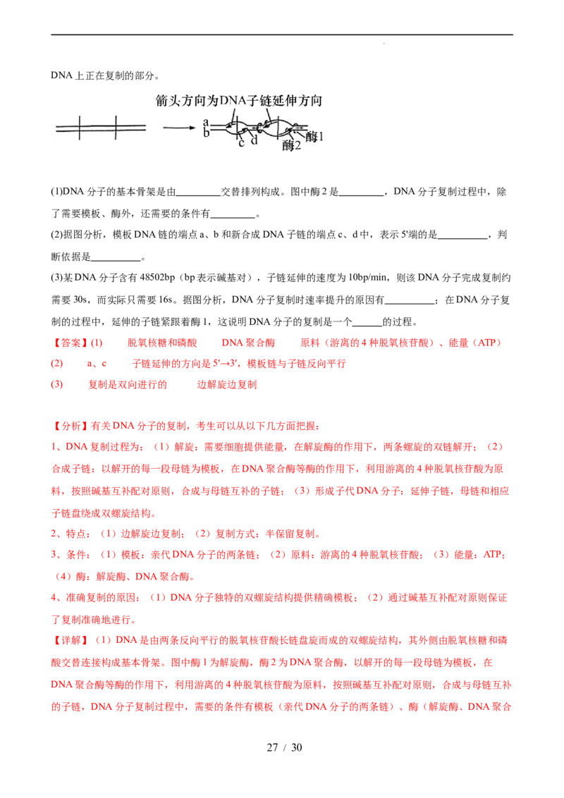 第六单元遗传的物质基础（测试）（解析版）_新高考复习资料_2024年新高考复习资料_一轮复习资料_完2024年高考生物一轮复习讲练测(课件+讲义+练习)（新高考）_单元测试